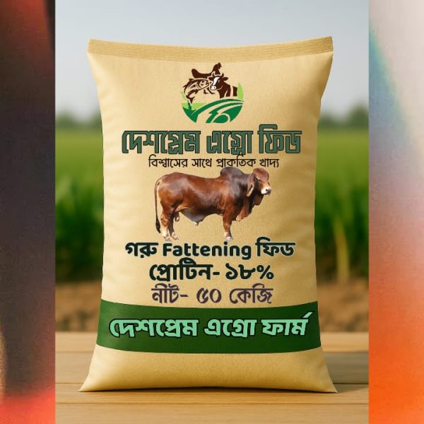 গরু মোটাতাজা(Fattening) করন খাদ্য - Image 1