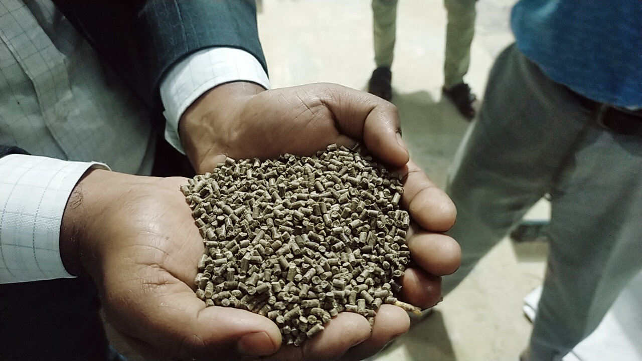 IMG20251208172255 তেলাপিয়া মাছের খাদ্য - Image 1