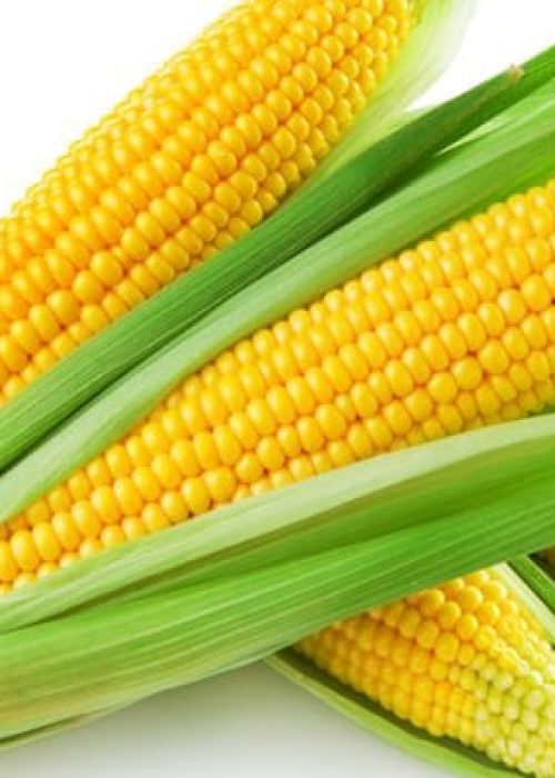 Corn