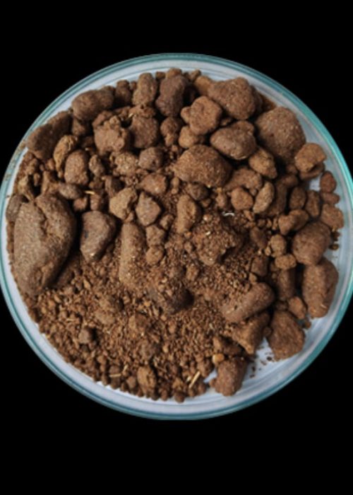Repseed oil cake